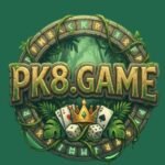 PK8 Game